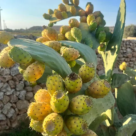 Attico Con Terrazza Vista Mare Apartman Gallipoli