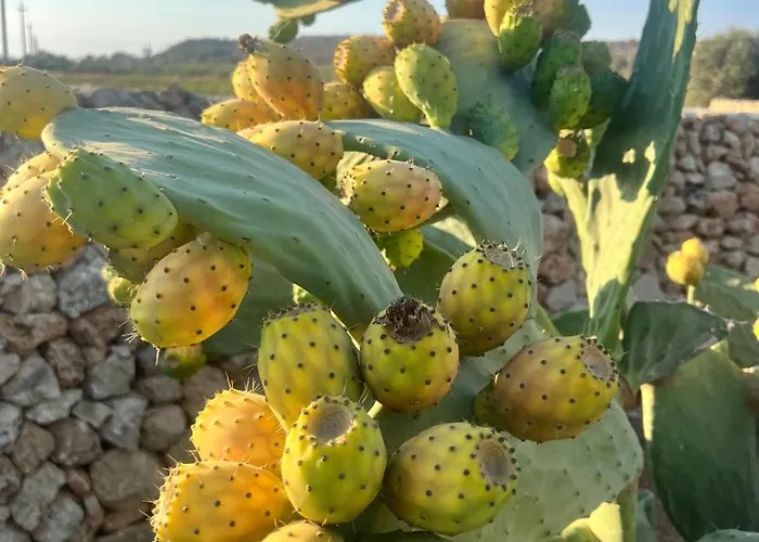 Attico Con Terrazza Vista Mare Apartment Gallipoli